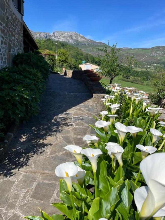 Posada Casa Guadamillas Bustancilles Kültér fotó
