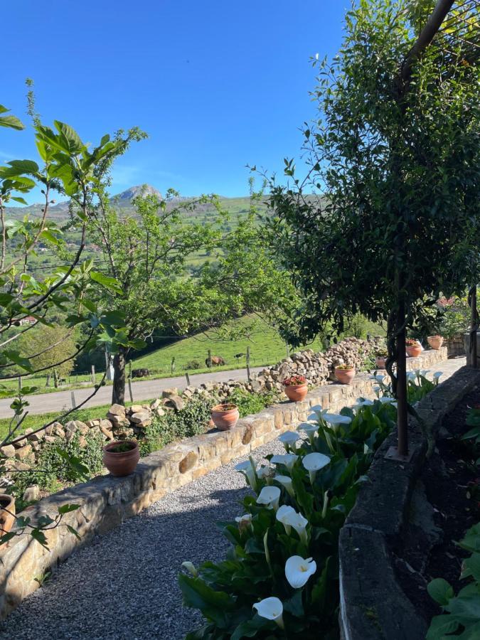 Posada Casa Guadamillas Bustancilles Kültér fotó