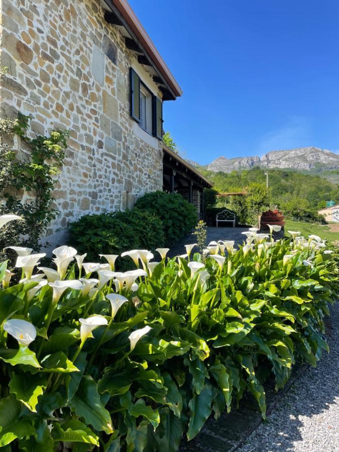 Posada Casa Guadamillas Bustancilles Kültér fotó